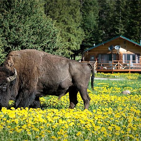 Silver Gate Lodging Кук-Сити Экстерьер фото