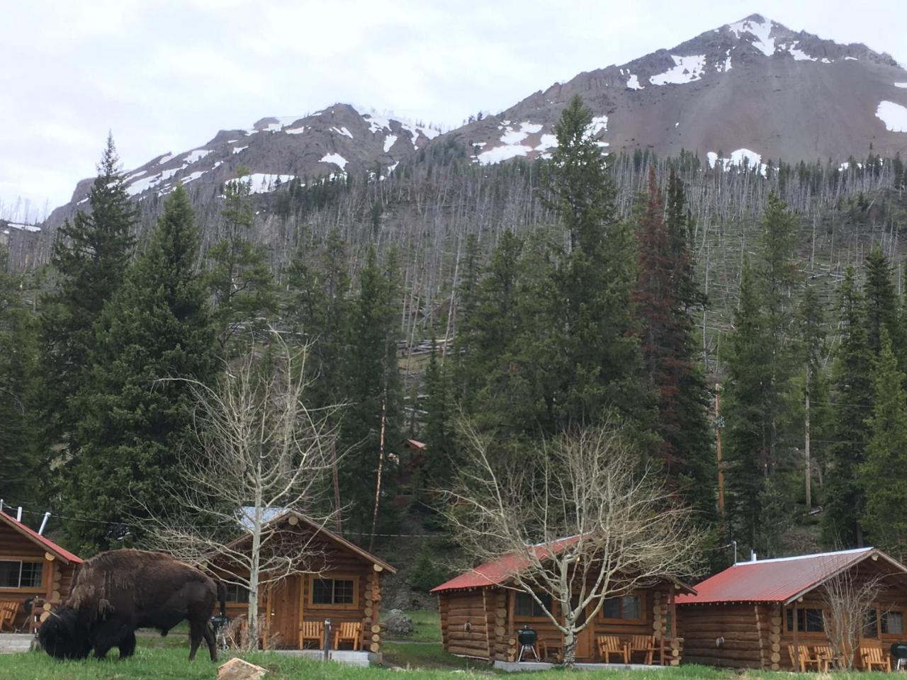 Silver Gate Lodging Кук-Сити Экстерьер фото